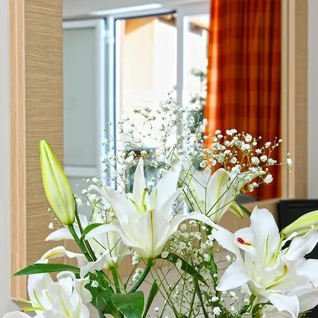 Cosman Hotel